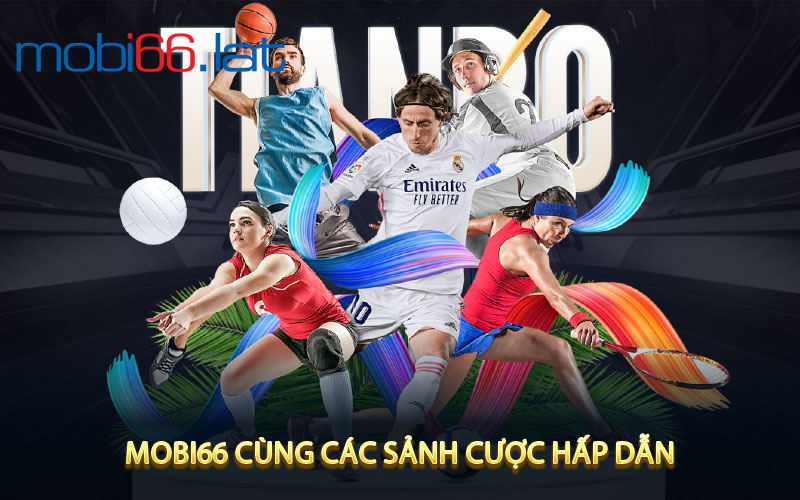 Giới thiệu về MOBI66 cùng các sảnh cược hấp dẫn