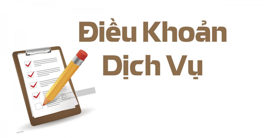 Cam kết và trách nhiệm của người dùng khi tham gia